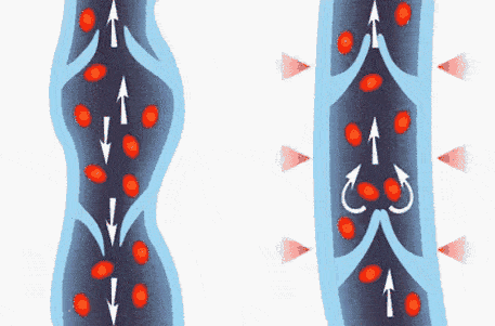 1697186580385584.gif