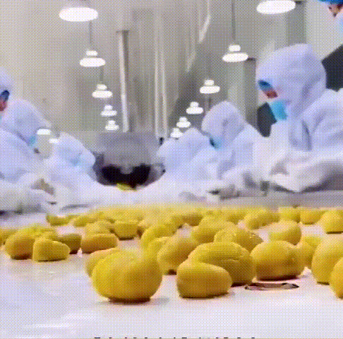 1755695287689344.gif